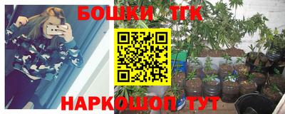 apvp Можга