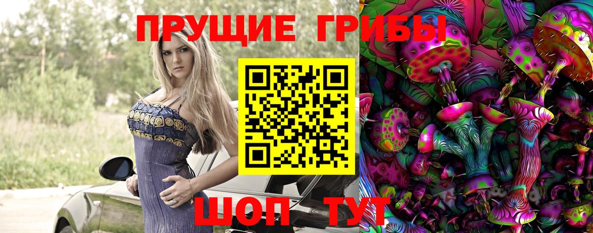 Жигулёвск  Псилоцибиновые грибы Psilocybine cubensis  Вход с VPN 