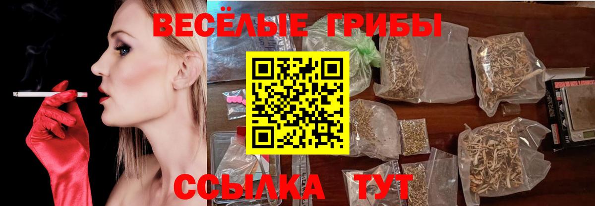Галлюциногенные грибы ЛСД Жигулёвск